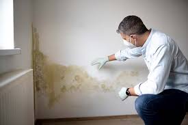 Mold Remediation for Vacation Homes in Cheviot, OH